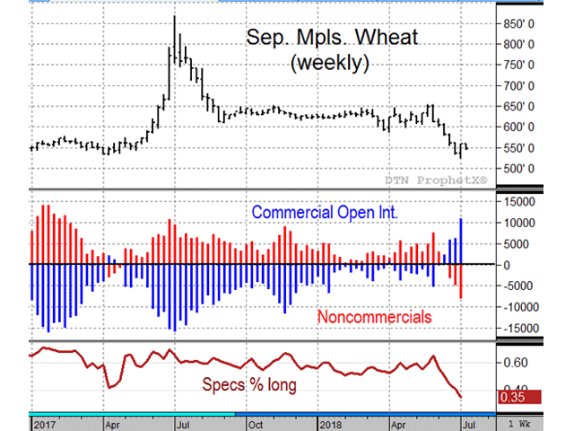 The weekly chart of September Minneapolis wheat shows commercials holding their largest net-long position in 22 months, suggesting prices are finding support near their lowest level in over a year (DTN ProphetX chart).